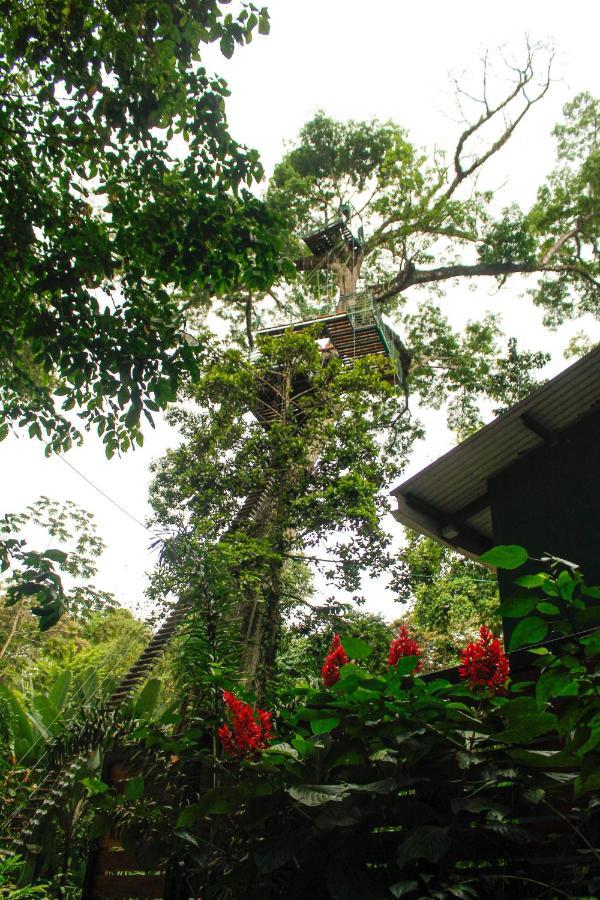 Hotel Boutique The Green Jungle House Puerto Viejo de Talamanca Ngoại thất bức ảnh